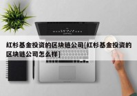 红杉基金投资的区块链公司[红杉基金投资的区块链公司怎么样]